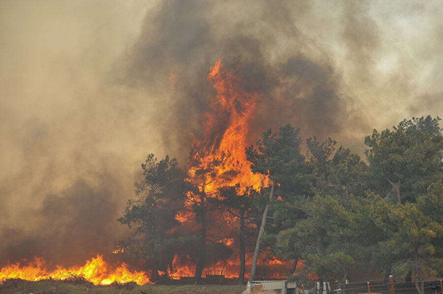 Orman yangınlarında son durum: Çanakkale, Tekirdağ ve Diyarbakır'da alevlere müdahale sürüyor