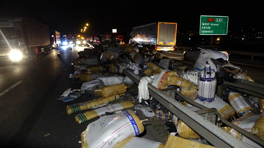TEM'de TIR'ın yükü aydınlatma direğini devirdi: Üç yaralı