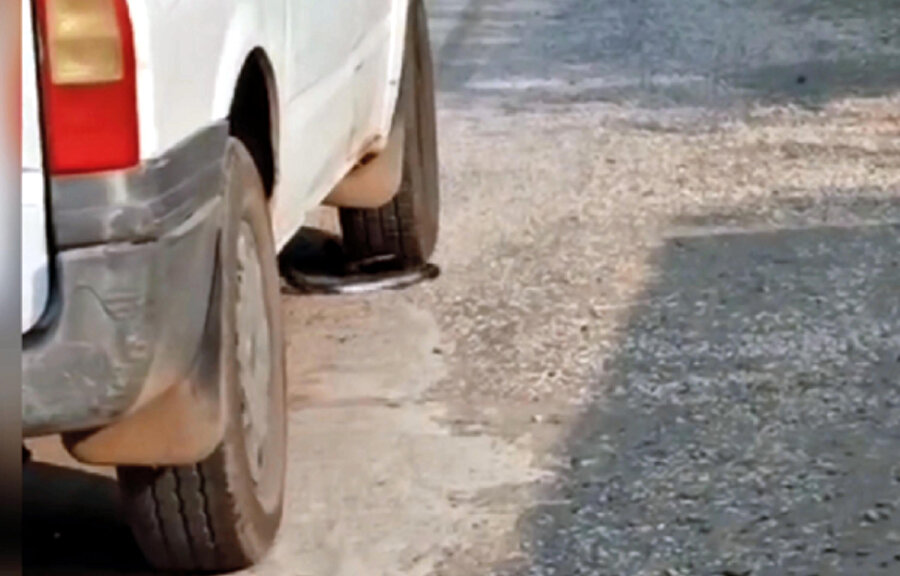Yoldaki yılanı ezen sürücüye 2 bin 77 TL ceza