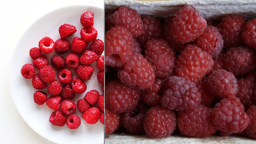 Ahududu nasıl yetiştirilir?