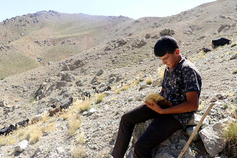 Tam 494 puan aldı: Elazığ'da çobanlık yapan Muhammet LGS'de Türkiye ikincisi oldu