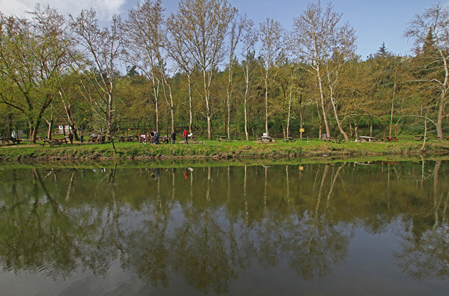 Değirmen Boğazı Tabiat Parkı.