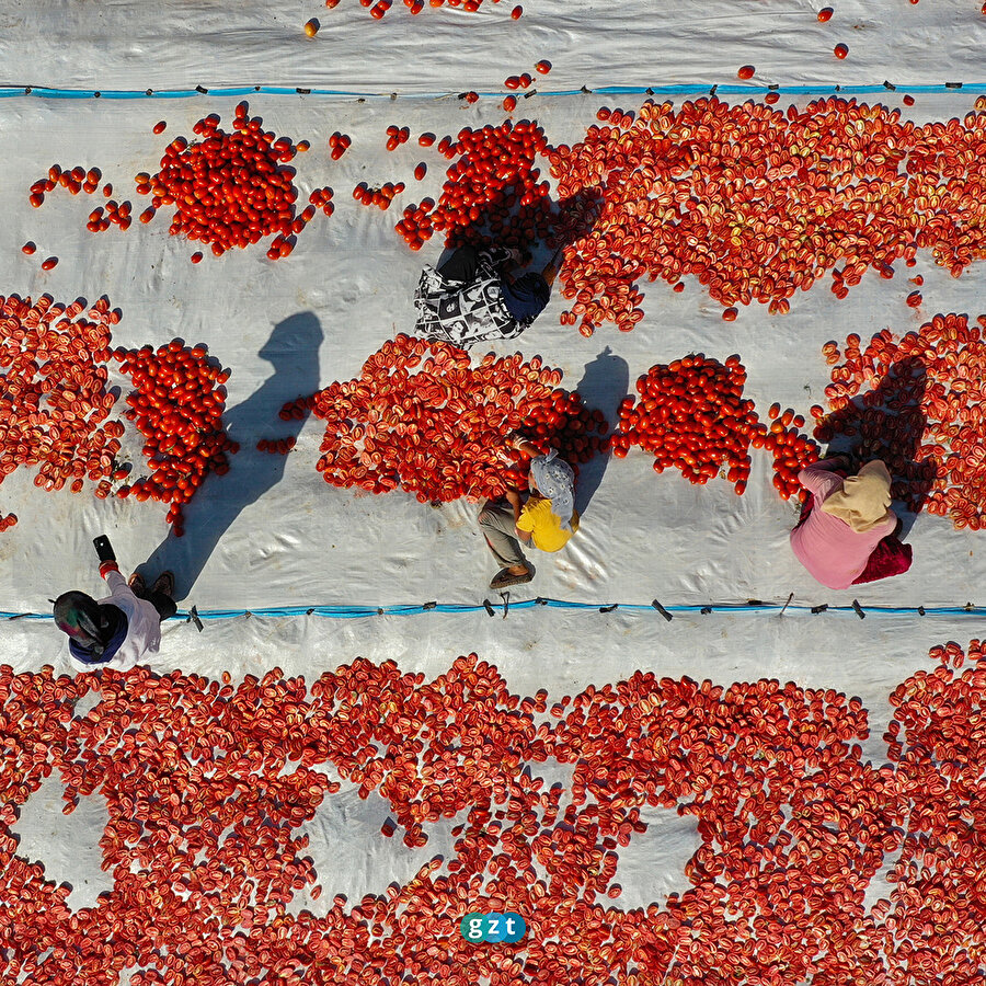 Diyarbakır'da kurutmalık domates mesaisi başladı