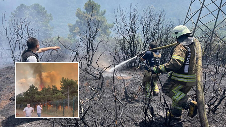 Sultangazi'de ormanlık alanda yangın