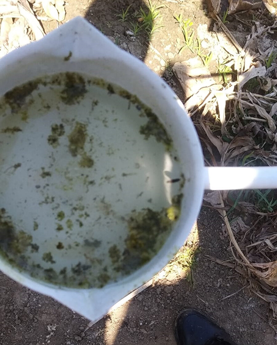 Prof. Dr. Alptekin uyardı: Sokağa bırakılan bir kap suda milyonlarca sinek üreyebilir