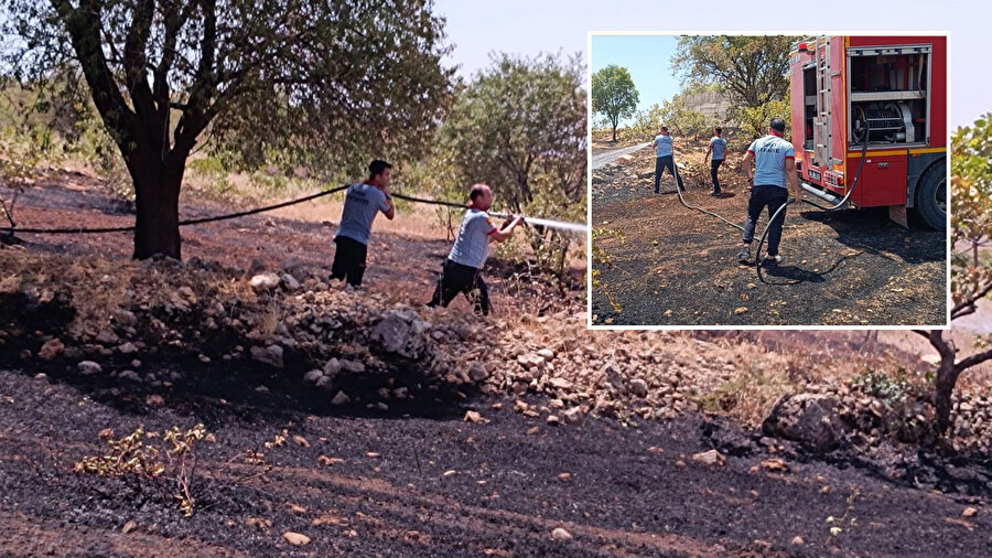 Siirt'te fıstık bahçesinde yangın: 50 ağaç yandı