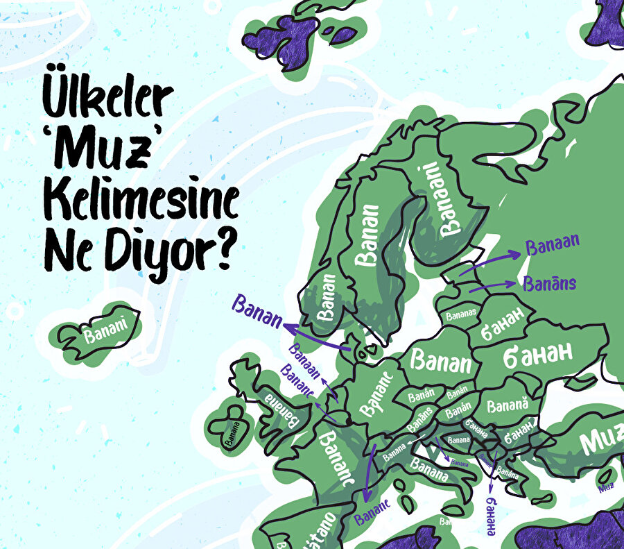 Ülkeler "Muz" Kelimesine Ne Diyor?