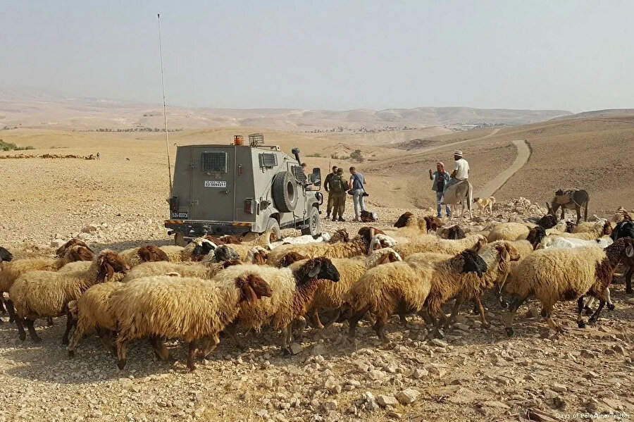 Son iki yılda, işgal altındaki Filistin topraklarında çobanlık yapan savunmasız 7 topluluğu hedef alan yerleşimci şiddeti nedeniyle en az 399 kişi zorla yerinden edildi.