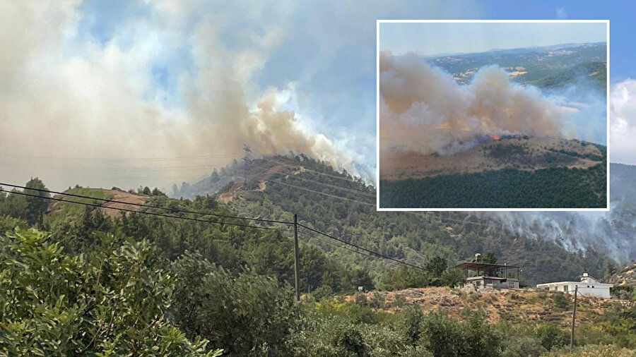 Hatay orman yangını