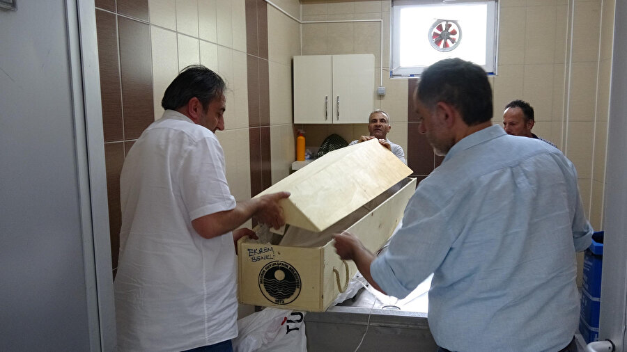 Üç farklı şehre gönderildi: Tabutu açınca hayatlarının şokunu yaşadılar