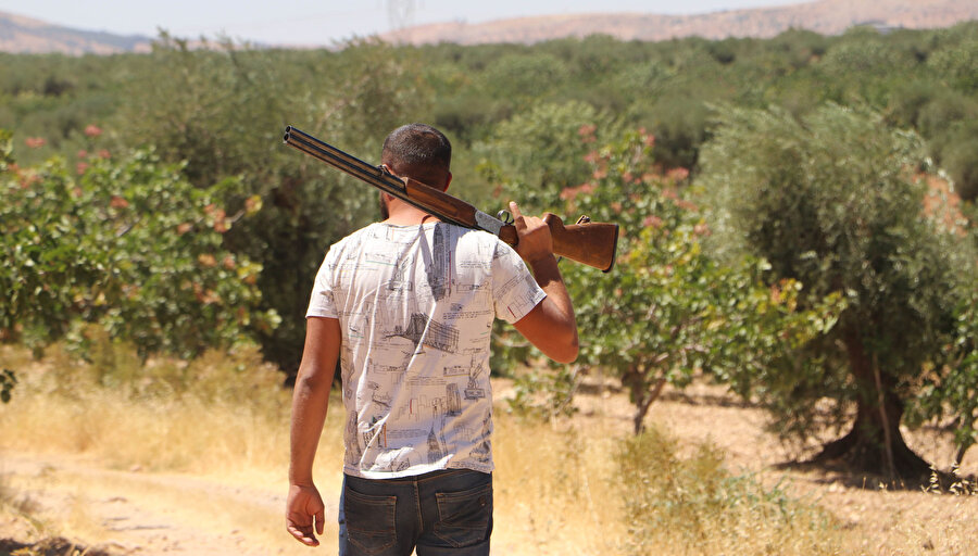 Tarlada silahlı nöbet: Günlük 1000 TL'ye koruyorlar