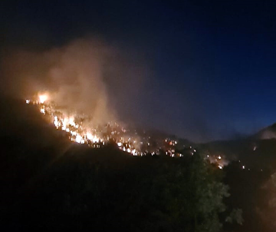 Siirt, Bingöl ve Malatya'da orman yangını