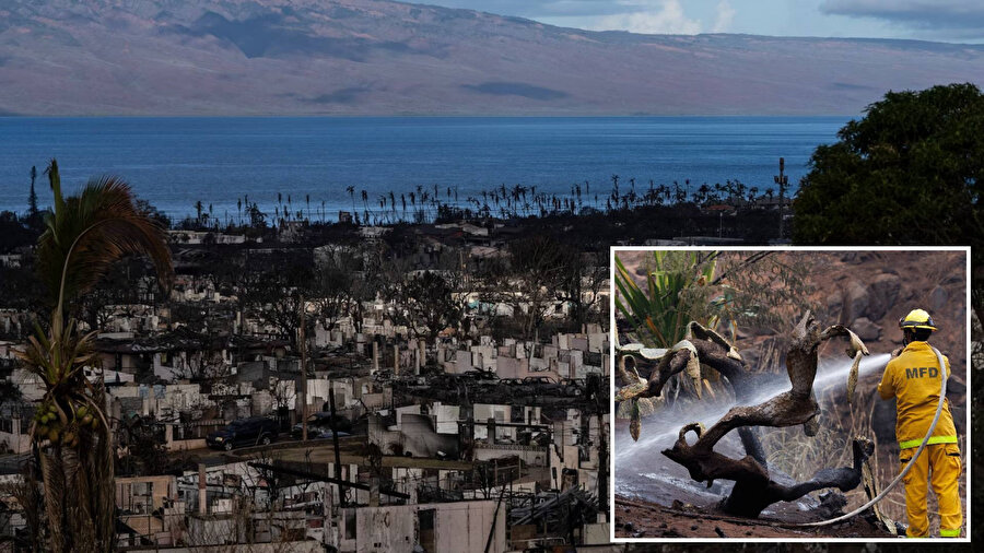 Hawaii orman yangınları