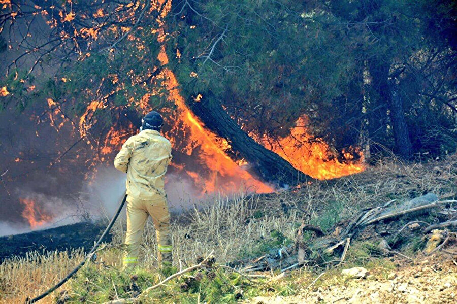 Çanakkale'deki orman yangınında üçüncü gün: Havadan-karadan müdahale ediliyor