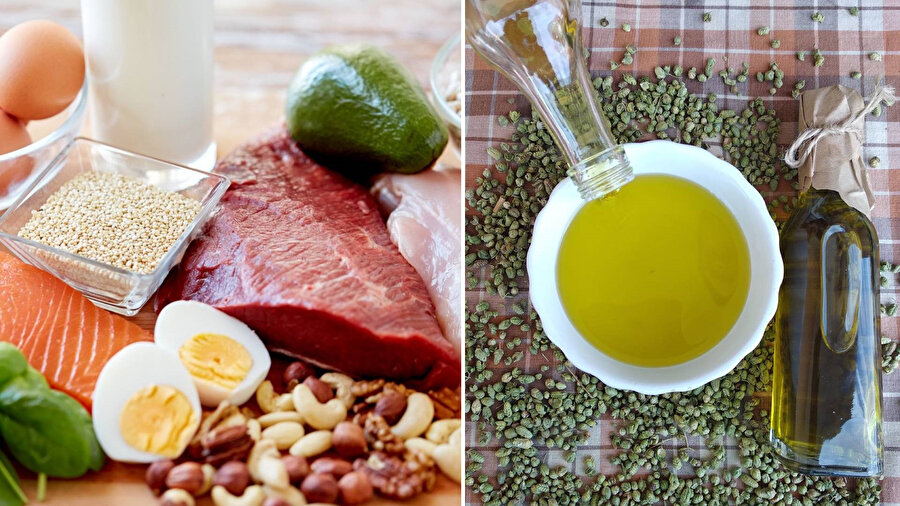 protein ve yağlar