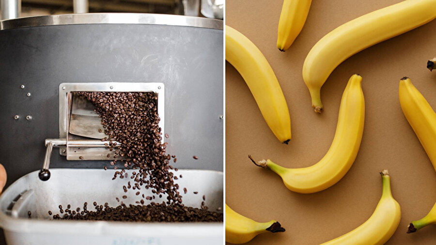 10 yıl içinde nesli tükenecek yiyecekler!