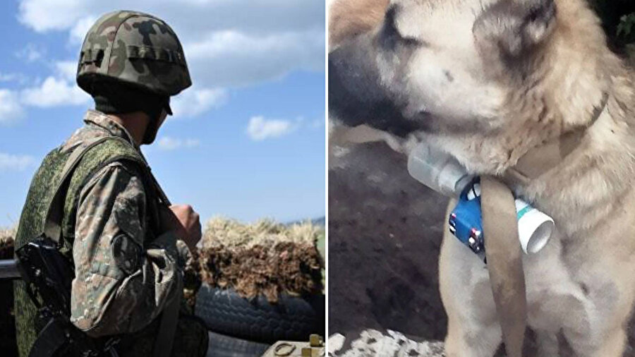 Azerbaycan askerlerine karşı bomba taşıyan köpek