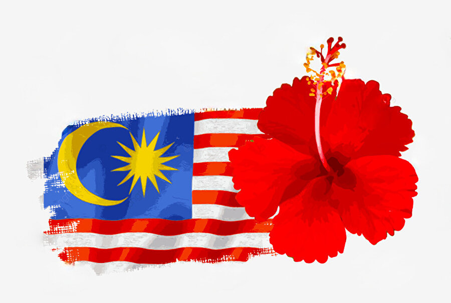 Çin gülü, Malezya için bağımsızlığın ve istikrarın sembolü.