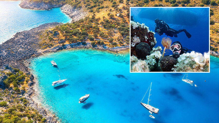 Türkiye’nin en iyi 5 dalış noktası.