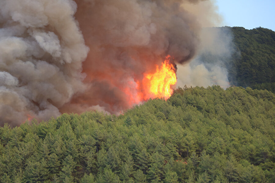 Antalya'da orman yangını