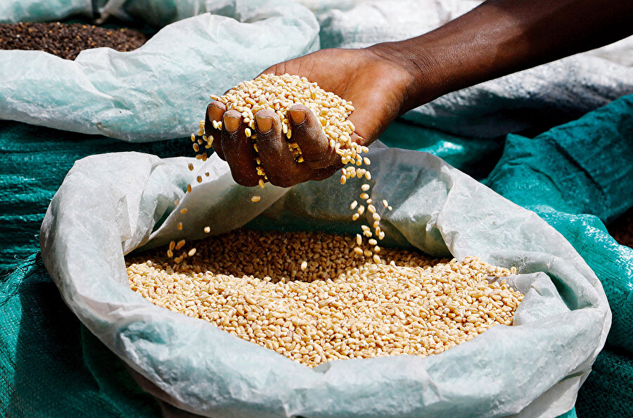 Afrika Kalkınma Bankası verilerine göre 54 Afrika ülkesinden 15'i buğday ihtiyacının yarısından fazlasını ya Rusya yahut Ukrayna’dan satın almak durumunda.