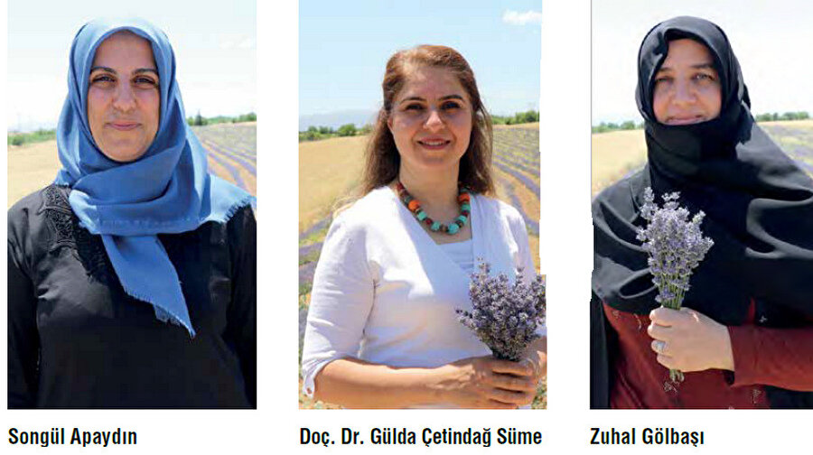 Girişimci kadınlar, lavantanın yağını ve az da olsa kurutulmuş halini, anlaştıkları firmaların yanı sıra e-ticaret yoluyla yurt dışına da gönderiyor.