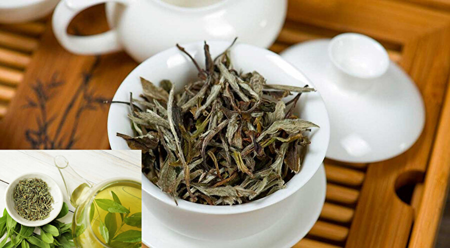 Beyaz çayın faydaları