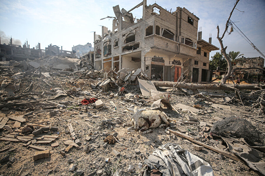 Gazze'nin dört bir yanı bunun gibi yıkım manzaralarıyla çevrili...