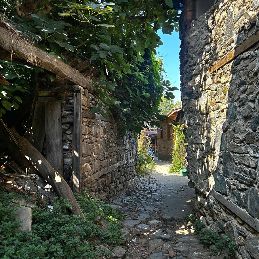 Yüksek avlu duvarları ve dar sokaklar. Fotoğraf: Birsen Uzun Aydın 