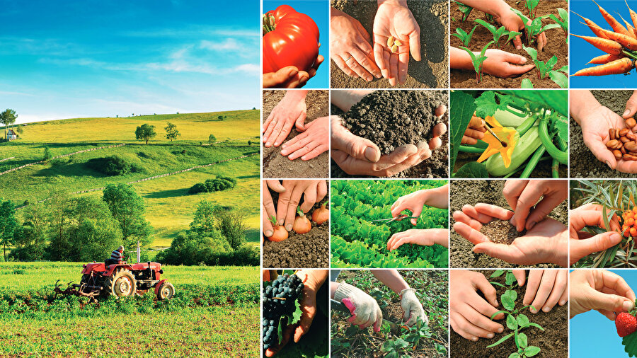 Ziraatta yalan düzeni