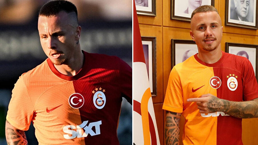 Angelino