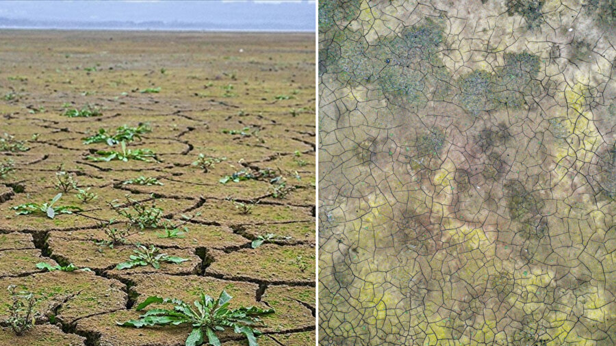 İstanbul barajlarında kuraklık meydana geldi.
