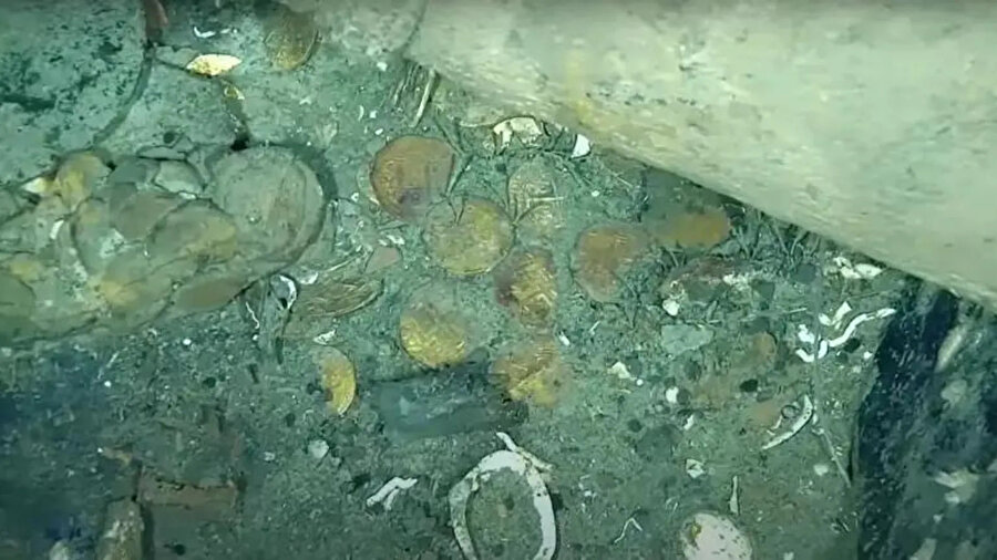 San Jose gemi enkazında bulunan altın sikkeler. Fotoğraf: Sea Search Armada