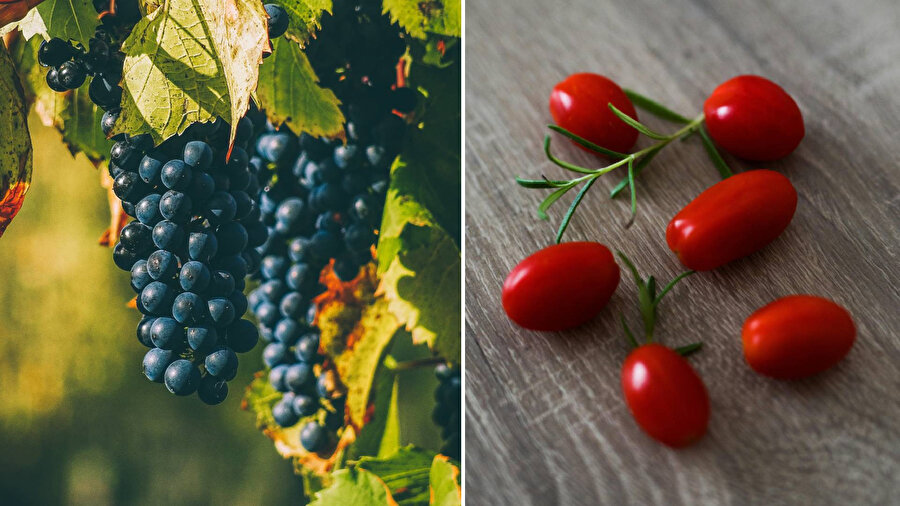 Sinyatür teorisine göre benzediği organa faydalı olan gıdalar
