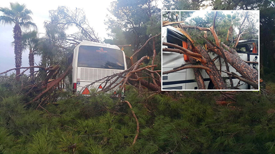 Antalya'da otel servisinin üzerine ağaç devrildi: 7 yaralı