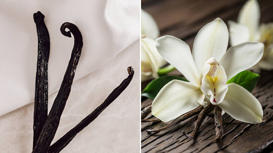 Bundan sonra şeker vanilinini kendimiz yapıyoruz!