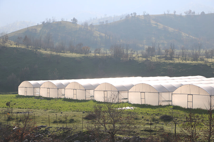 Terörden kurtuldu: Seracılığın merkezi oldu