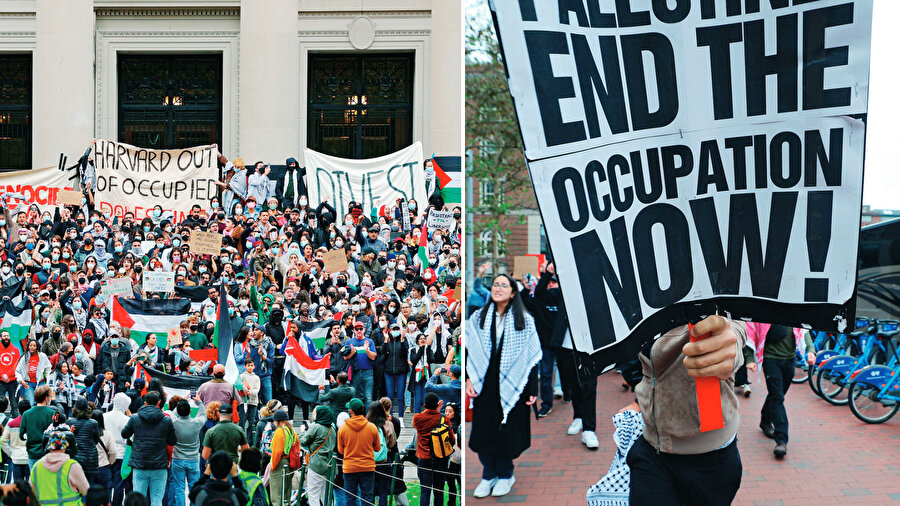 Harvard'dan Filistin notası.