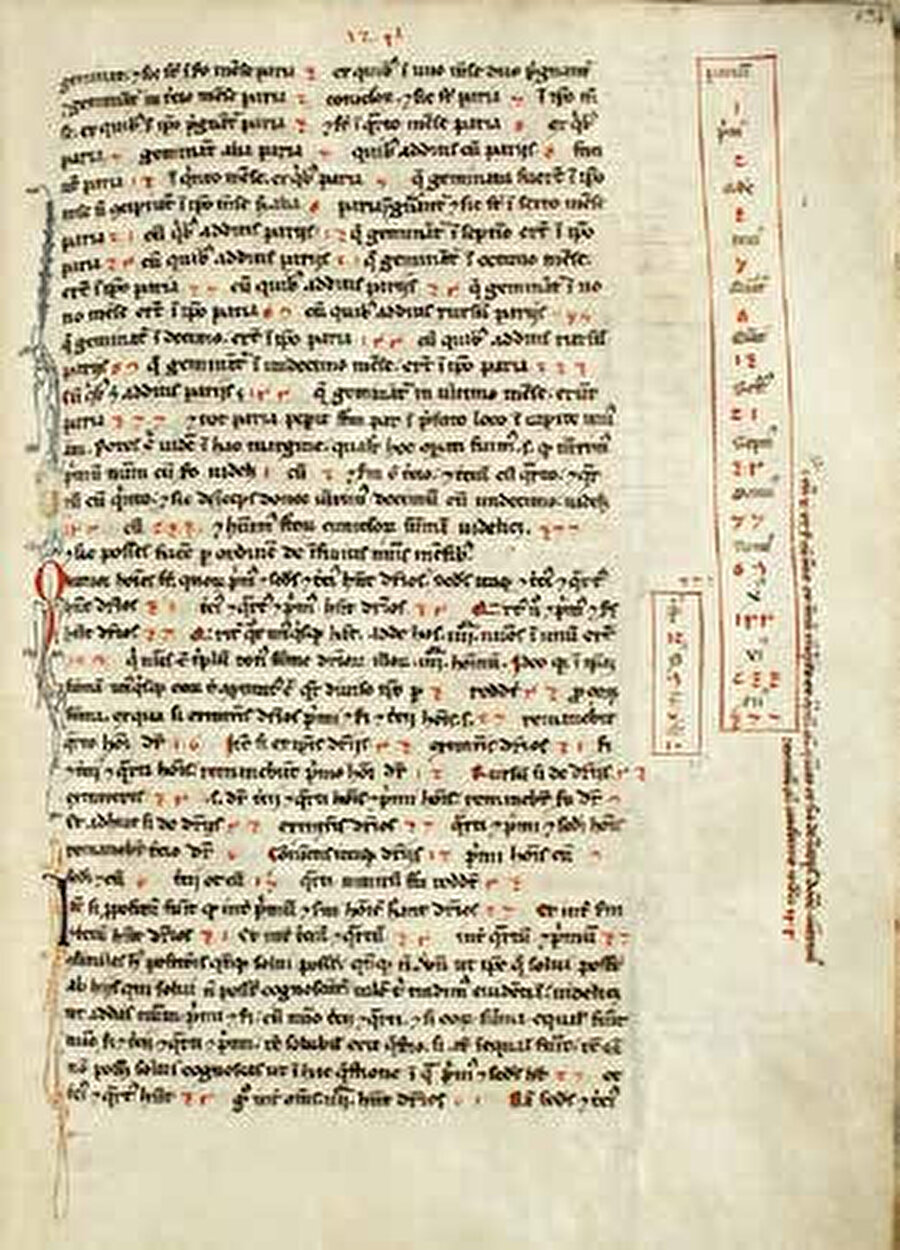 1202 yılında Avrupa'da, Hint-Arap rakamlarını popülerleştiren “Liber Abaci” isimli eserini tamamladı. 
