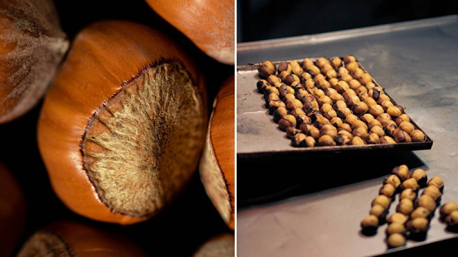 Çin kestanesi nasıl ayırt edilir?