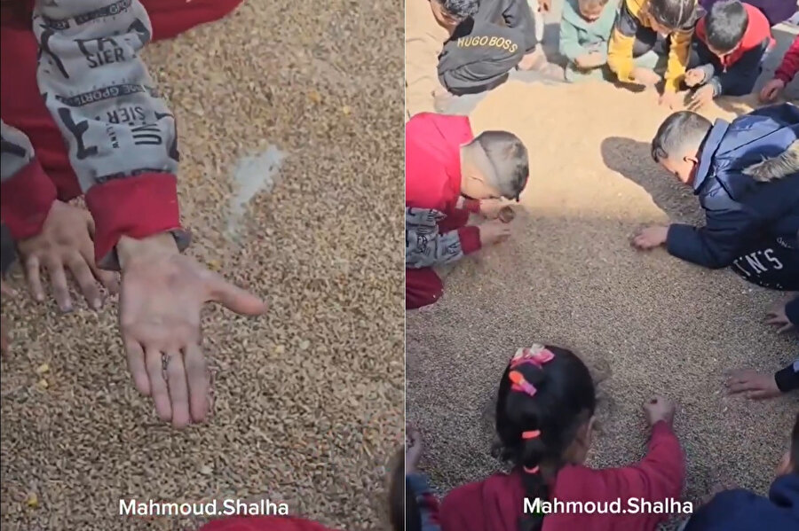 Gazze'de yaşanan kıtlığın bir göstergesi olarak, İsrail işgalinin uyguladığı abluka ve bölgede devam eden savaş nedeniyle ulaşılamayan buğdayı telafi etmek üzere hayvan yemini ayıklayıp “un” olarak öğüten çocukları gösteren videolar sosyal mecralarda dolaşıyor.