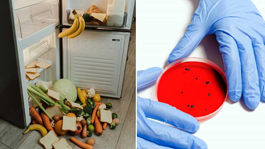 5 saniye kuralı şehir efsanesi mi?