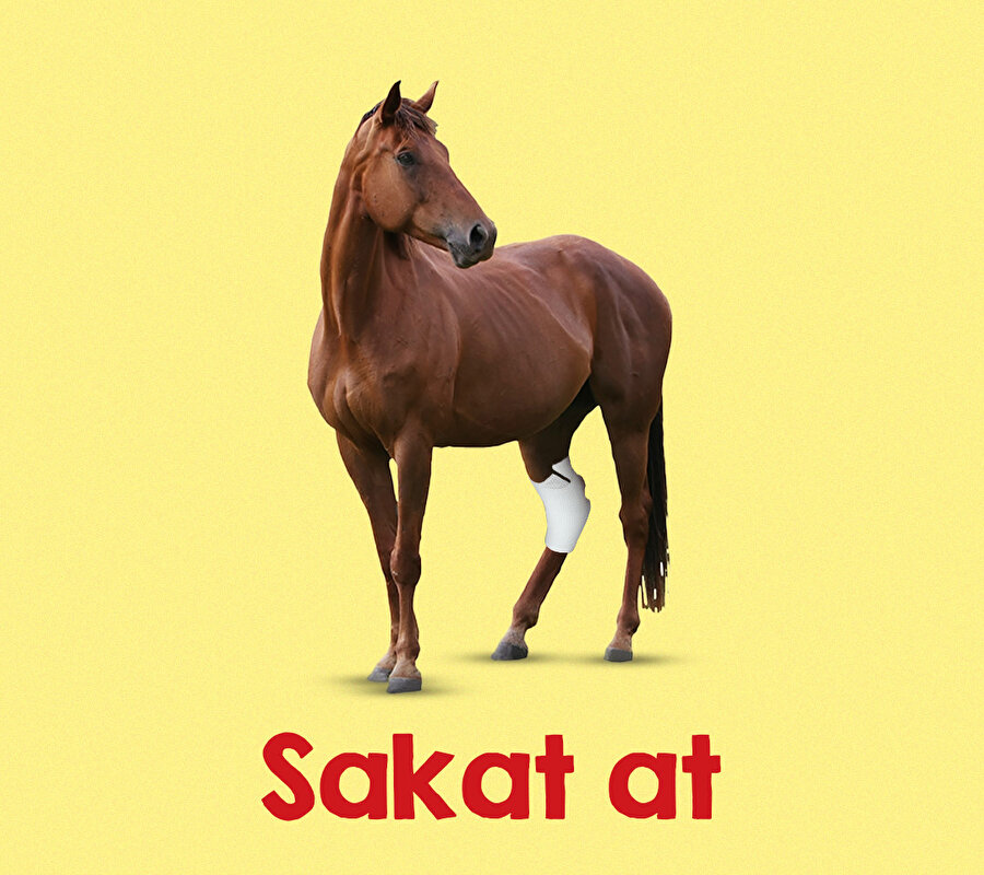 Üşümeye hazır olun