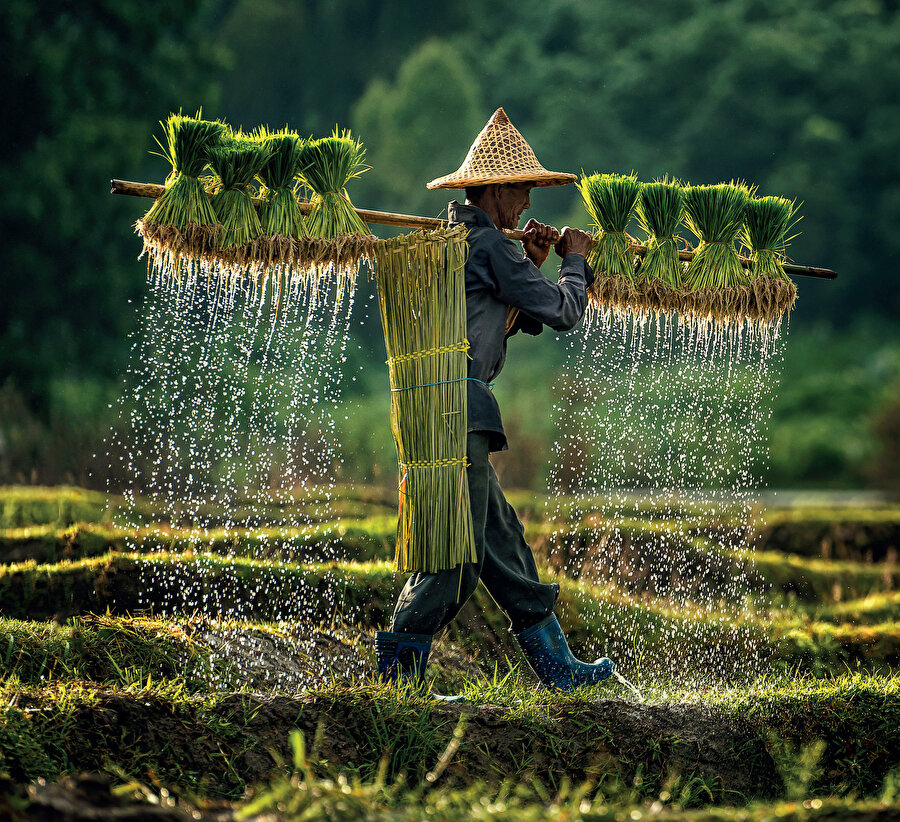 Endonezya, 1 trilyon doları aşan milli geliri ile dünyanın en büyük 16. ekonomisi konumunda yer alıyor.