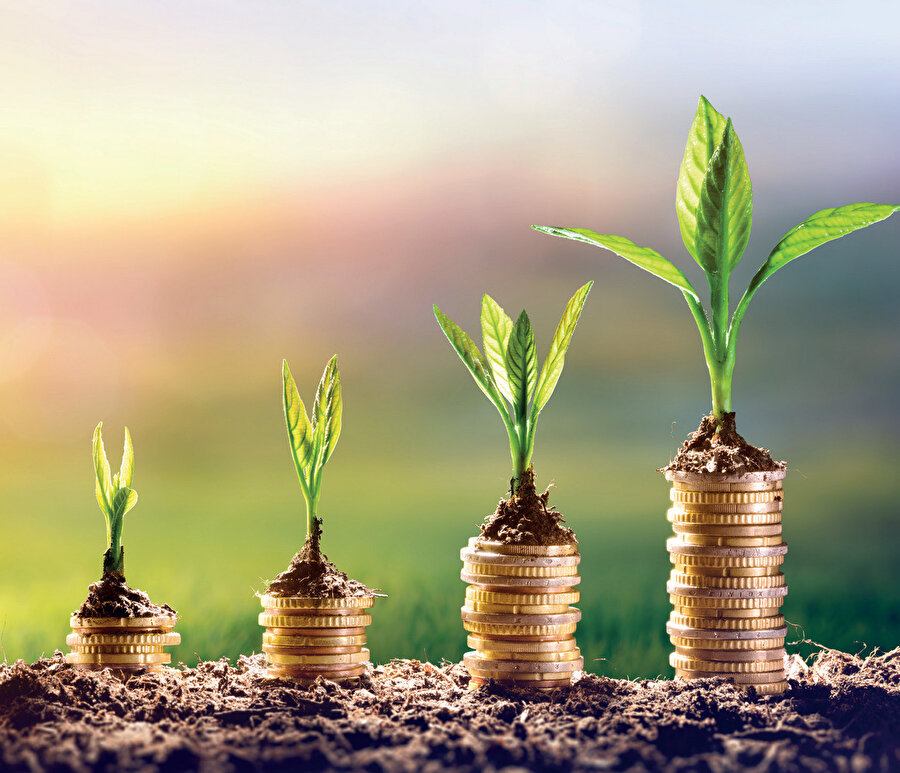 Hükümetin BES’e verdiği önem 2024-2026 yılı Orta Vadeli Programı’nda (OVP) kendine yer buldu.