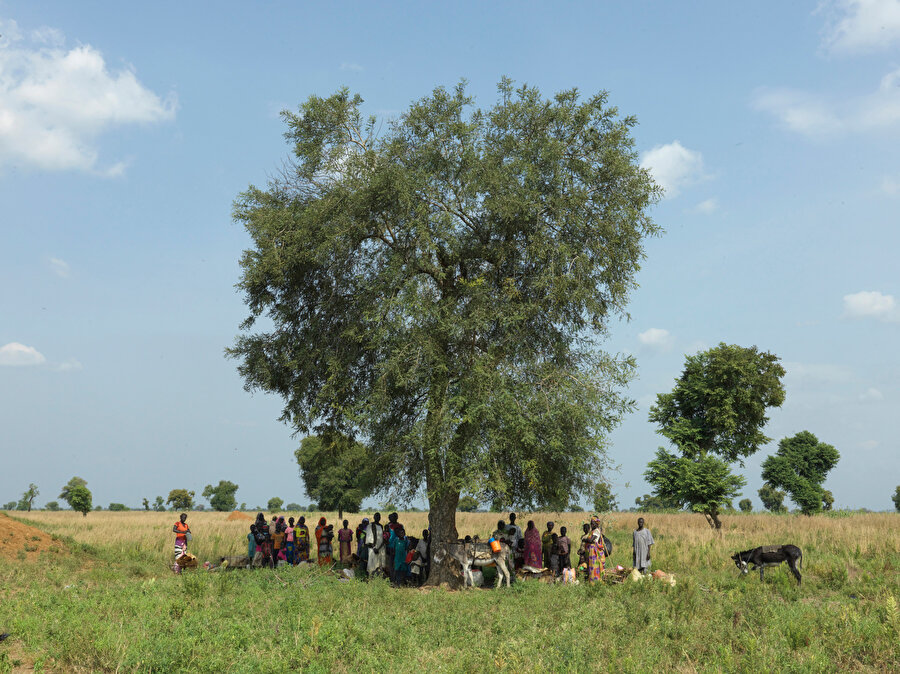 Maban'a giderken bir ağacın altına sığınan Sudanlı mülteciler. Mültecilerin yolculukları iki hafta veya daha fazla sürebiliyor. 