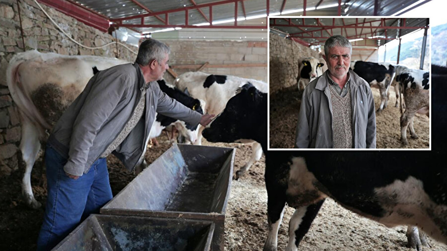 Depremde hayvanlarını kaybeden besiciye büyükbaş desteği sağlandı