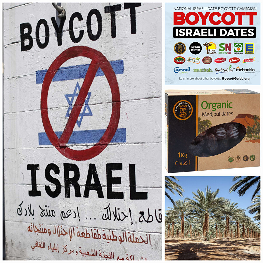 Yılda yaklaşık 340 milyon dolarlık hurma ihraç eden İsrail’in toplam hurma ihracatının üçte biri kutsal Ramazan ayında gerçekleşiyor ve bu da onu, Filistin yanlısı boykot kampanyaları için önemli bir hedef haline getiriyor.