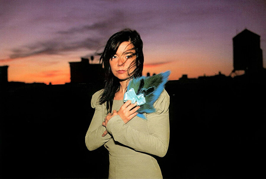Björk, dünyadaki afetlere ve toplumsal infiallere yönelik her zaman sağduyulu tutumlar sergileyerek nokta atışı söylemlerden ziyade, eylemlerde bulundu.
