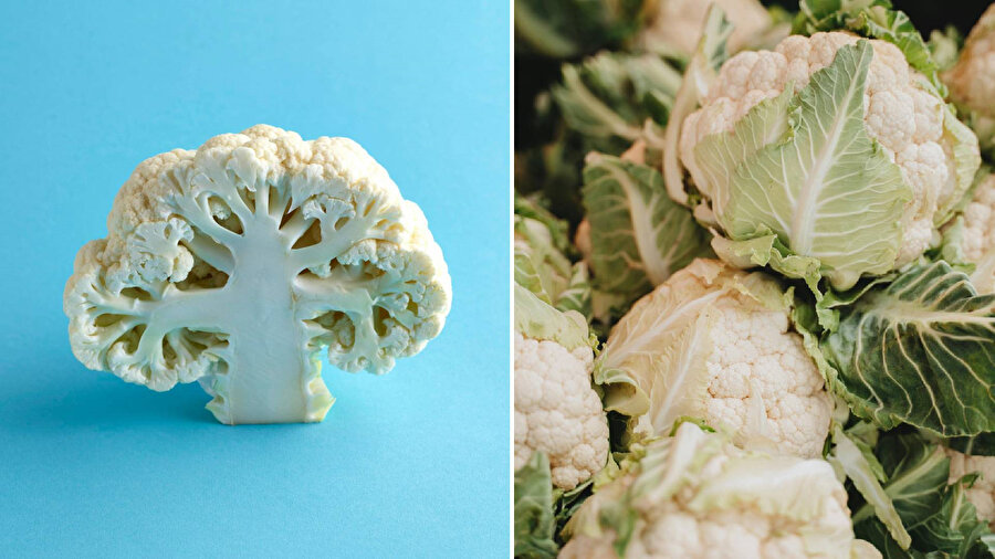 Karnabaharın gazını alıyoruz!